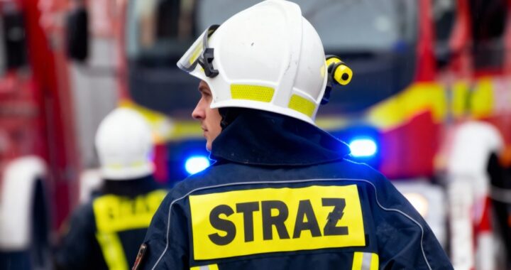 dzie---s--u--by-cywilnej--doceniamy-cichych-bohate-auto-6664